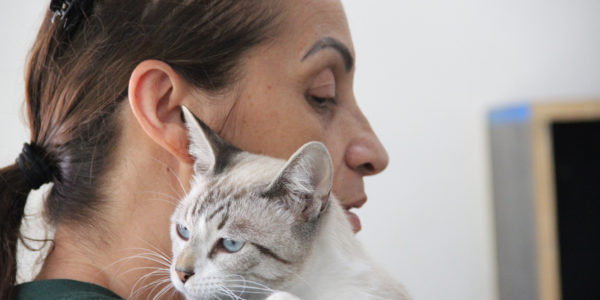 Barueri promove adoção de pets pelas redes sociais