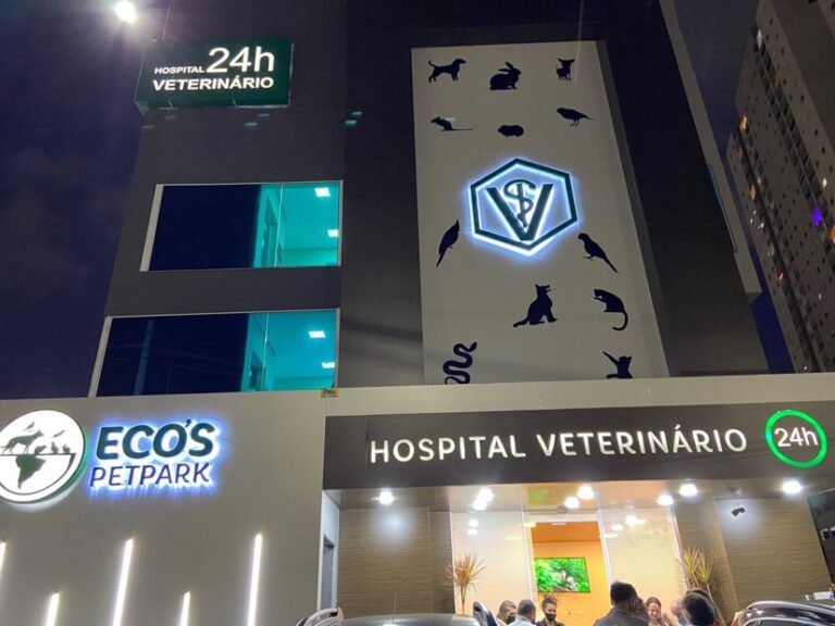 Eco's Pet Park conheça o hospital veterinário que oferece atendimento