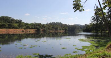 Parque Ecológico de Barueri tem lagoa recuperada e em breve terá mais atrações, como ciclovia e golfe aquático