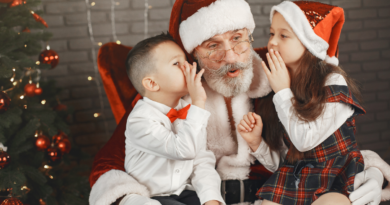 passeios Natal papai noel são paulo atrações natalinas