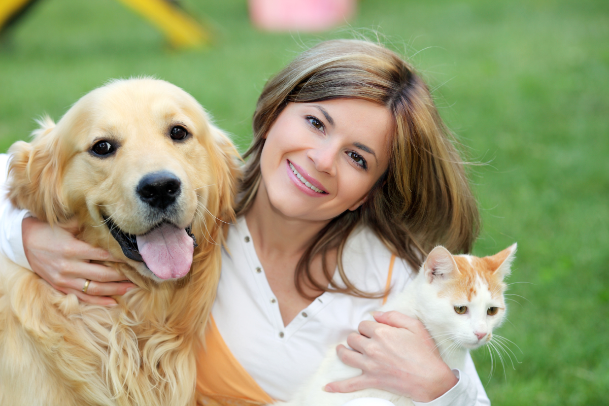 doença renal crônica cães e gatos pets Alphaville