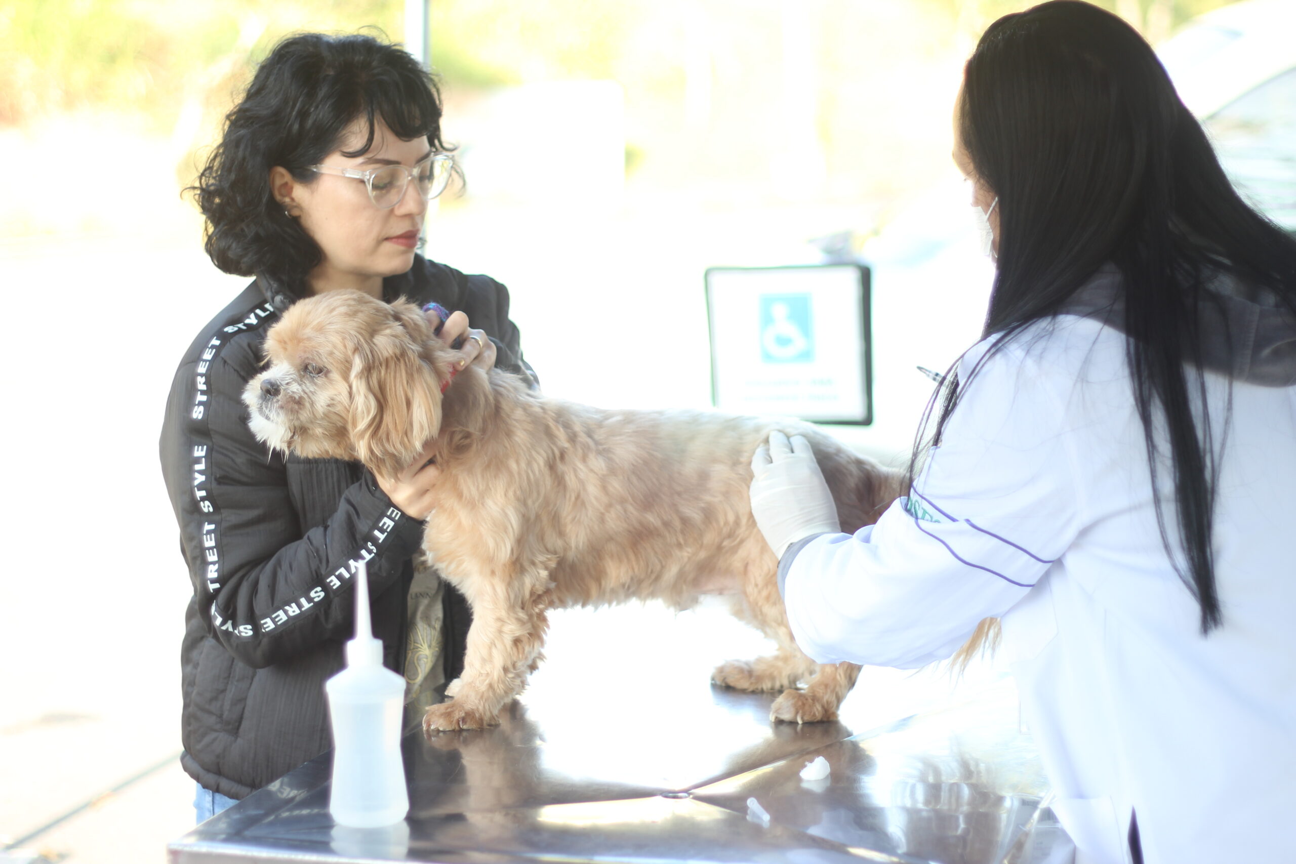 pets cães e gatos Barueri vacinação antirrábica Alphaville