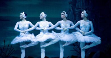 russian state ballet lago dos cisnes praça das artes barueri alphaville