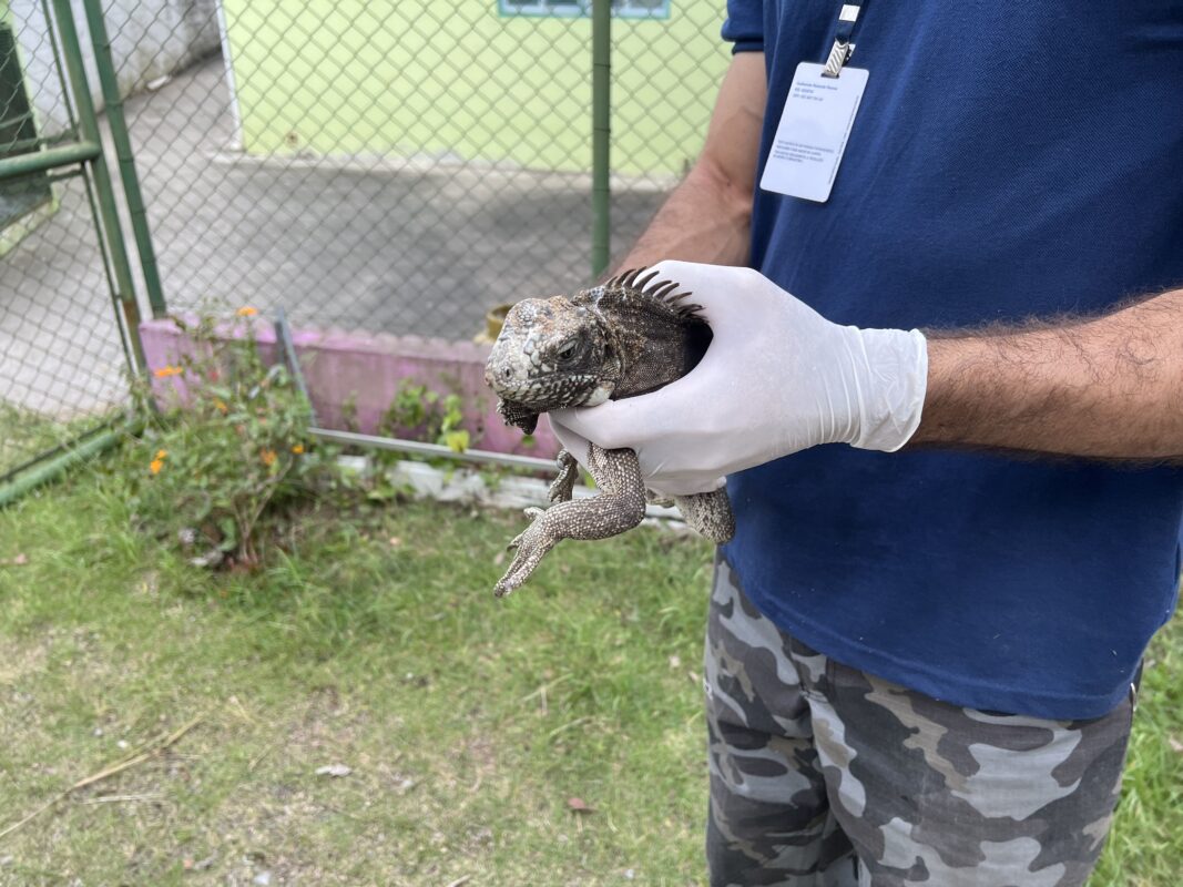 cetas de barueri recebe prêmio por conservação da vida silvestre alphaville