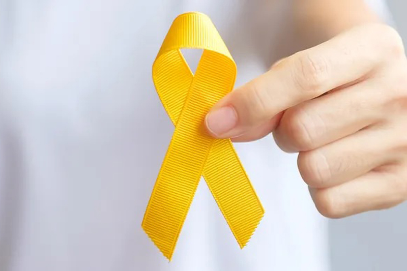 Setembro Amarelo: Santana de Parnaíba promove “Caminhada pela Vida” no dia 26