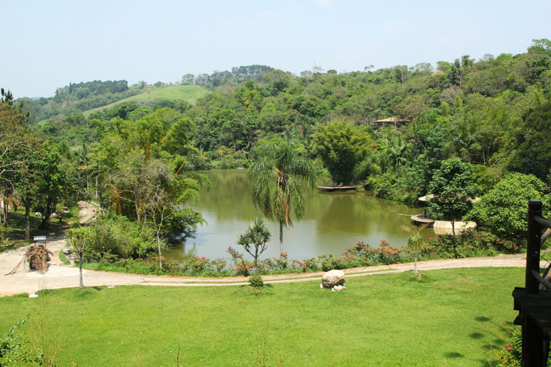 Cetas de Barueri inaugura área de soltura devolvendo 66 aves à natureza