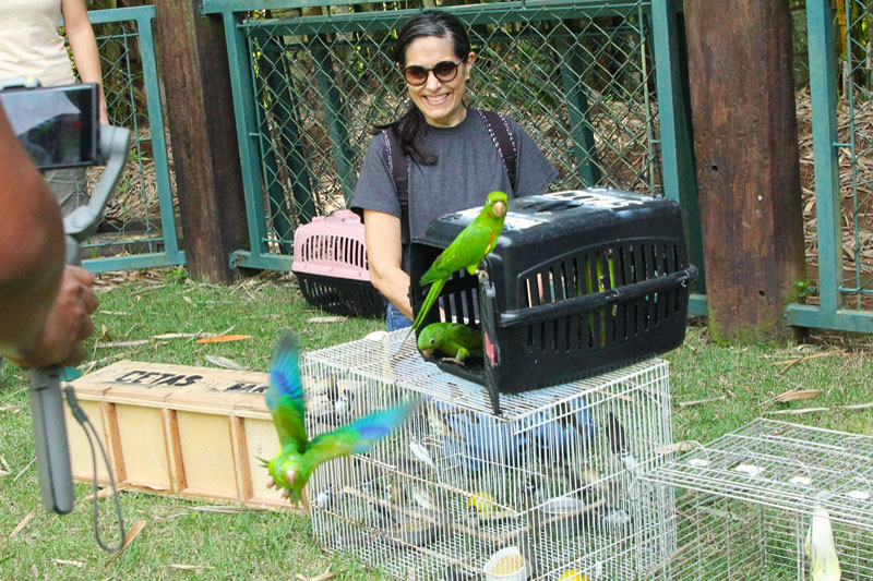 Cetas de Barueri inaugura área de soltura devolvendo 66 aves à natureza