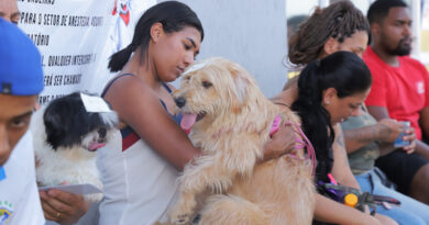Castração gratuita de pets: Barueri abre agendamento dia 10 de janeiro