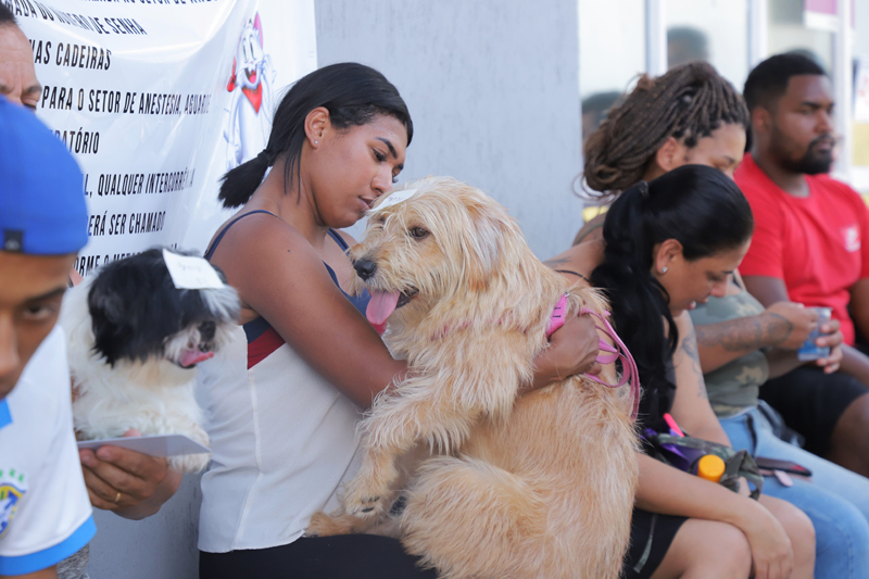 Castração gratuita de pets: Barueri abre agendamento dia 10 de janeiro