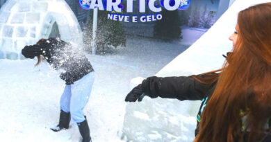 Ártico Neve e Gelo é atração gratuita no Shopping Interlagos