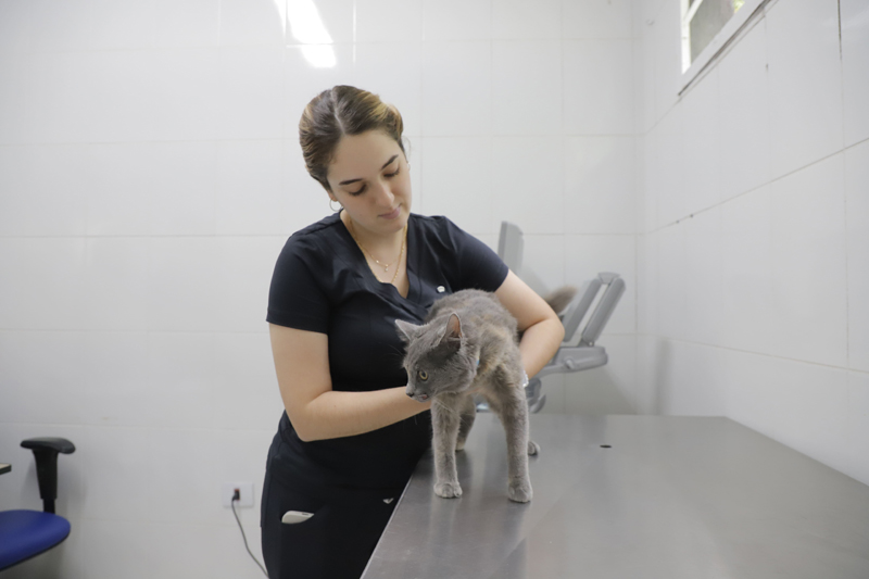 Agendamento de castração de pets de Barueri será no dia 3 de abril