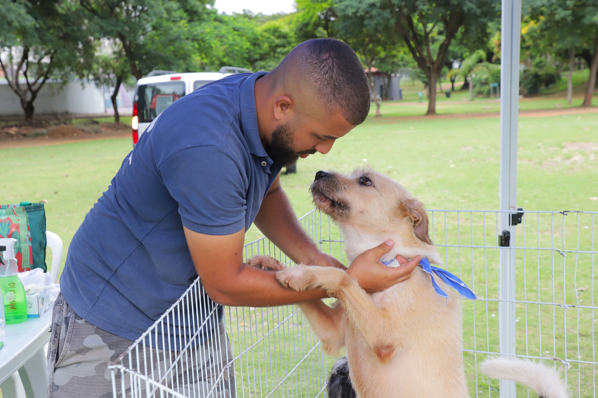 Barueri abre agendamento de castração de pets no dia 5