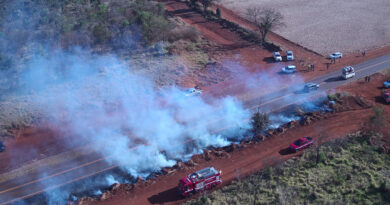 Drones e satélites ajudam a combater e prevenir incêndios em SP