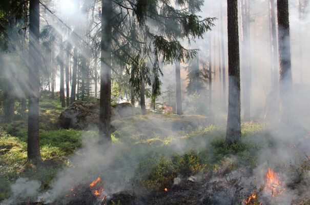 CCR utiliza ferramenta da Climatempo para ações de monitoramento e combate a focos de incêndio nas rodovias