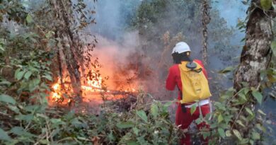 Queimadas: cuidados respiratórios precisam ser reforçados