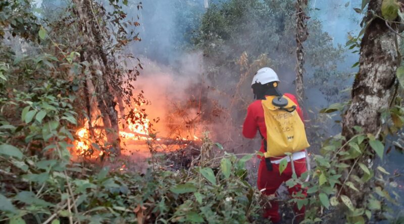 Queimadas: cuidados respiratórios precisam ser reforçados