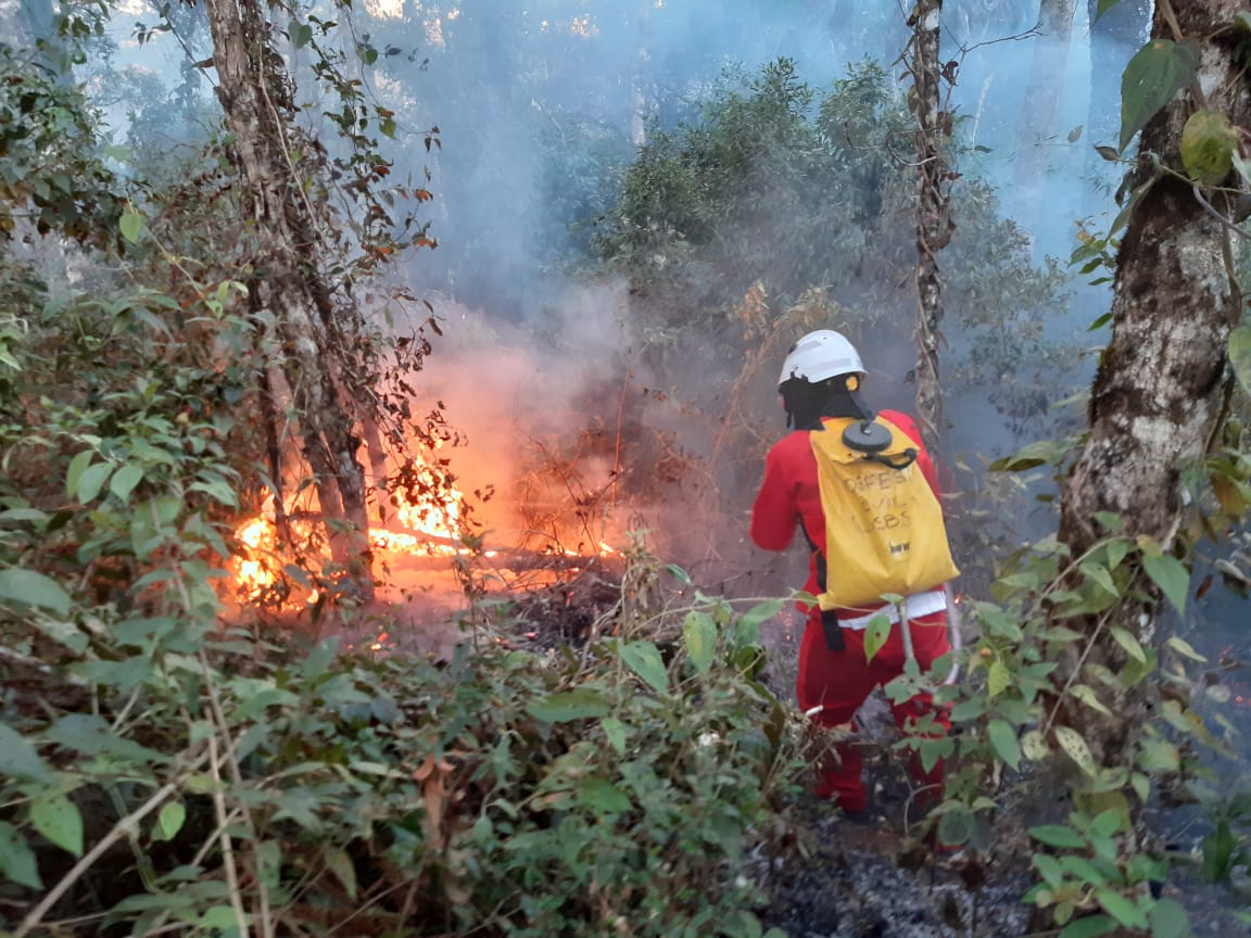 Queimadas: cuidados respiratórios precisam ser reforçados