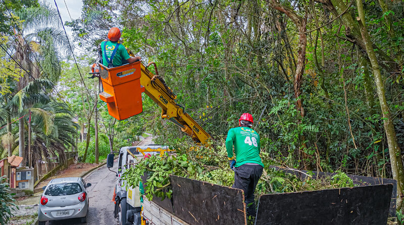 Poda de árvores: como funciona o serviço em Santana de Parnaíba