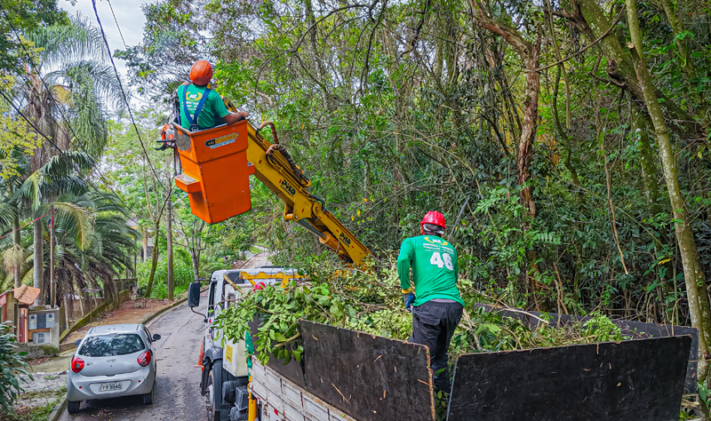 Poda de árvores: como funciona o serviço em Santana de Parnaíba