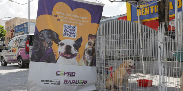 Serviços para pets em Barueri: adoção, castração e vacinação contra a raiva