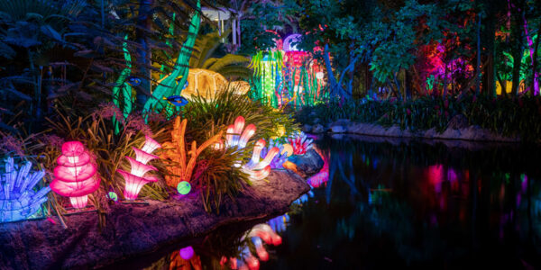 “Lektrik: Um Festival de Luzes” inicia temporada no Jardim Botânico