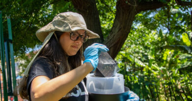 Combate à dengue: Santana de Parnaíba instala armadilhas inteligentes