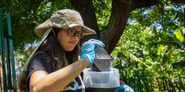 Combate à dengue: Santana de Parnaíba instala armadilhas inteligentes