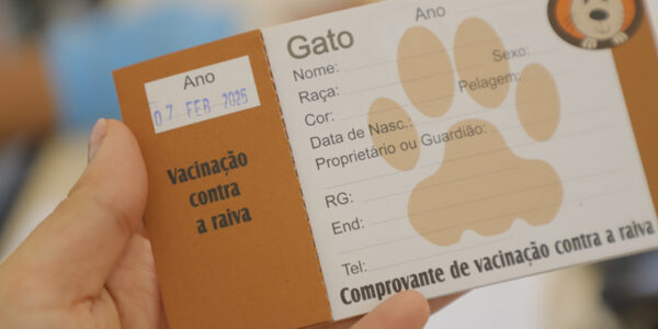 Como vacinar seu pet contra a raiva na Zoonoses de Barueri