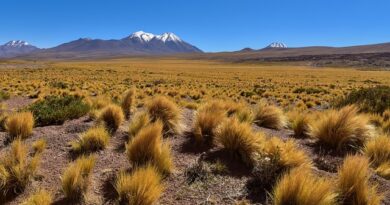 9 destinos internacionais que aceitam entrada só com RG