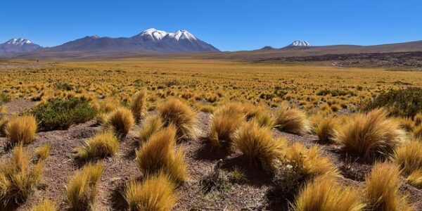 9 destinos internacionais que aceitam entrada só com RG
