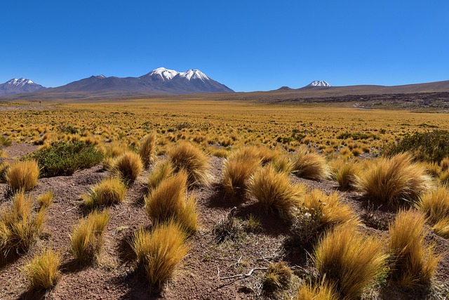 9 destinos internacionais que aceitam entrada só com RG