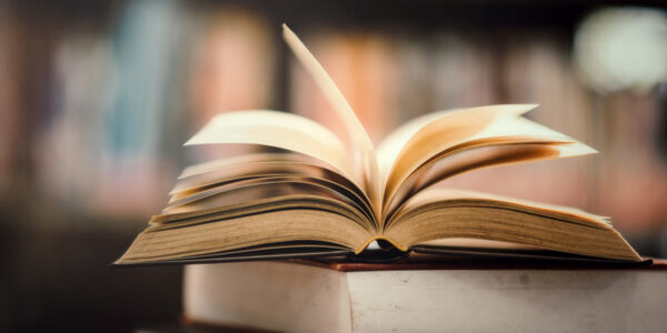 Feira do Livro 2025 terá distribuição de livros e rodas de conversa
