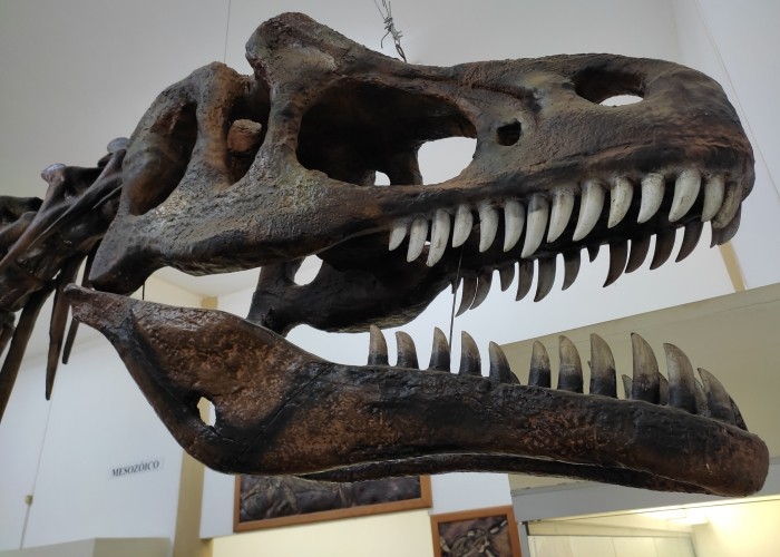 SP Jurássico: 10 cidades para visitar museus paleontológicos