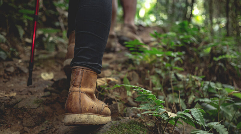 10º Trekking Bate e Volta acontece neste sábado, 30