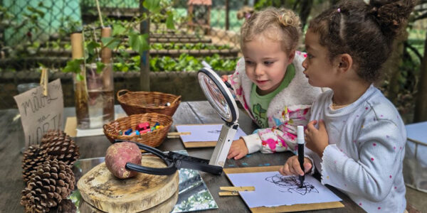 Escola Vila Alpha: uma proposta de educação integrada à natureza
