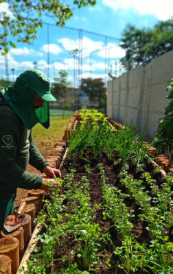Oliver Soluções: a beleza e o valor do seu condomínio começam pelo jardim