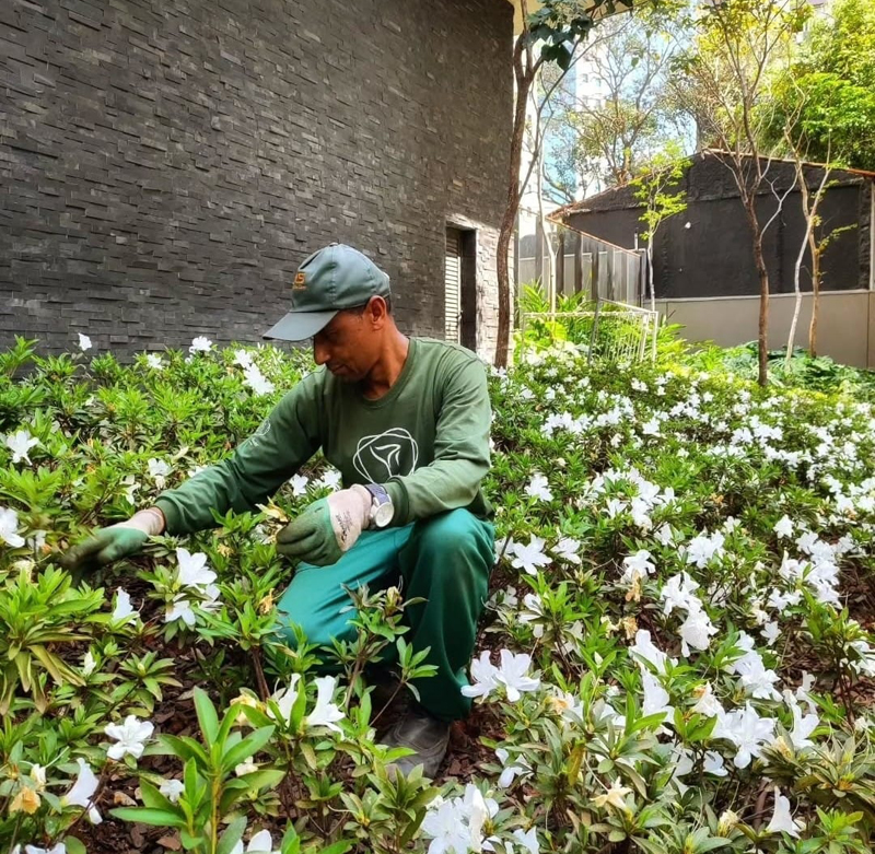 Oliver Soluções: a beleza e o valor do seu condomínio começam pelo jardim