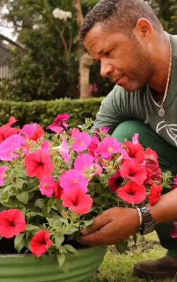 Oliver Soluções: a beleza e o valor do seu condomínio começam pelo jardim