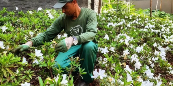 Oliver Soluções: a beleza e o valor do seu condomínio começam pelo jardim