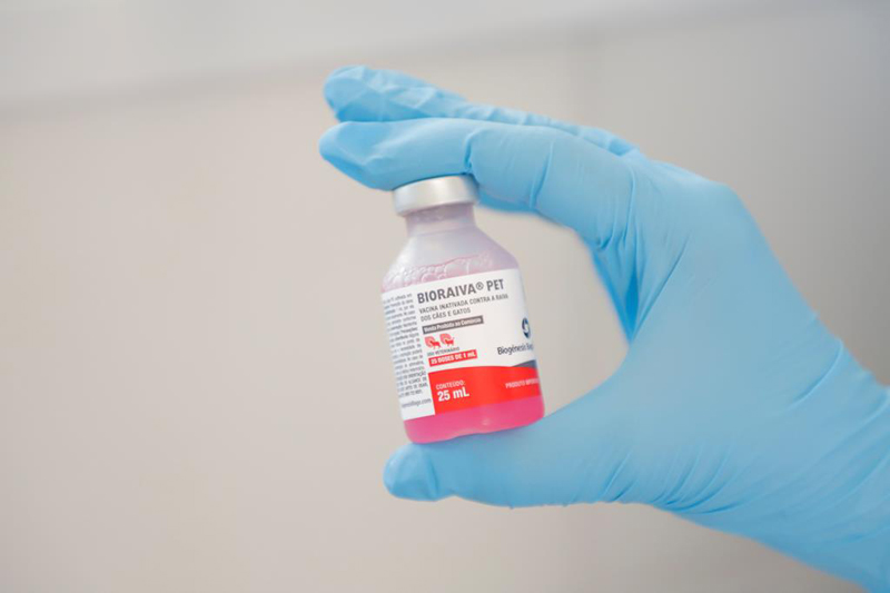 Barueri promove vacinação contra raiva nos dias 18 e 19/10, no Parque Dom José