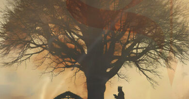 Programação de eventos de dezembro em Barueri