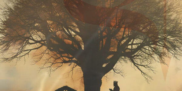 Programação de eventos de dezembro em Barueri