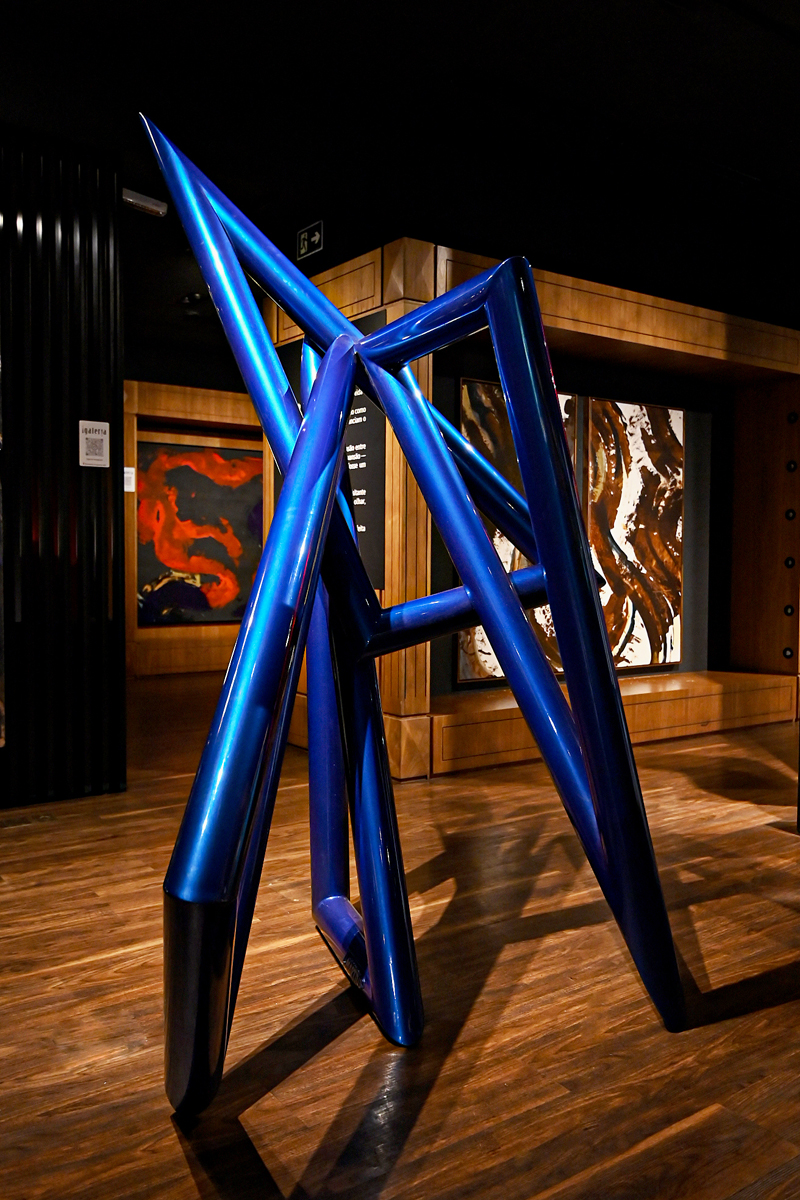 iGaleria traz para Alphaville “Metamorfoses do Olhar”, de Leopoldo Martins