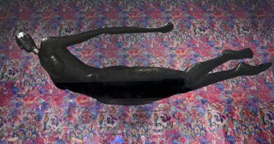 iGaleria traz para Alphaville “Metamorfoses do Olhar”, de Leopoldo Martins