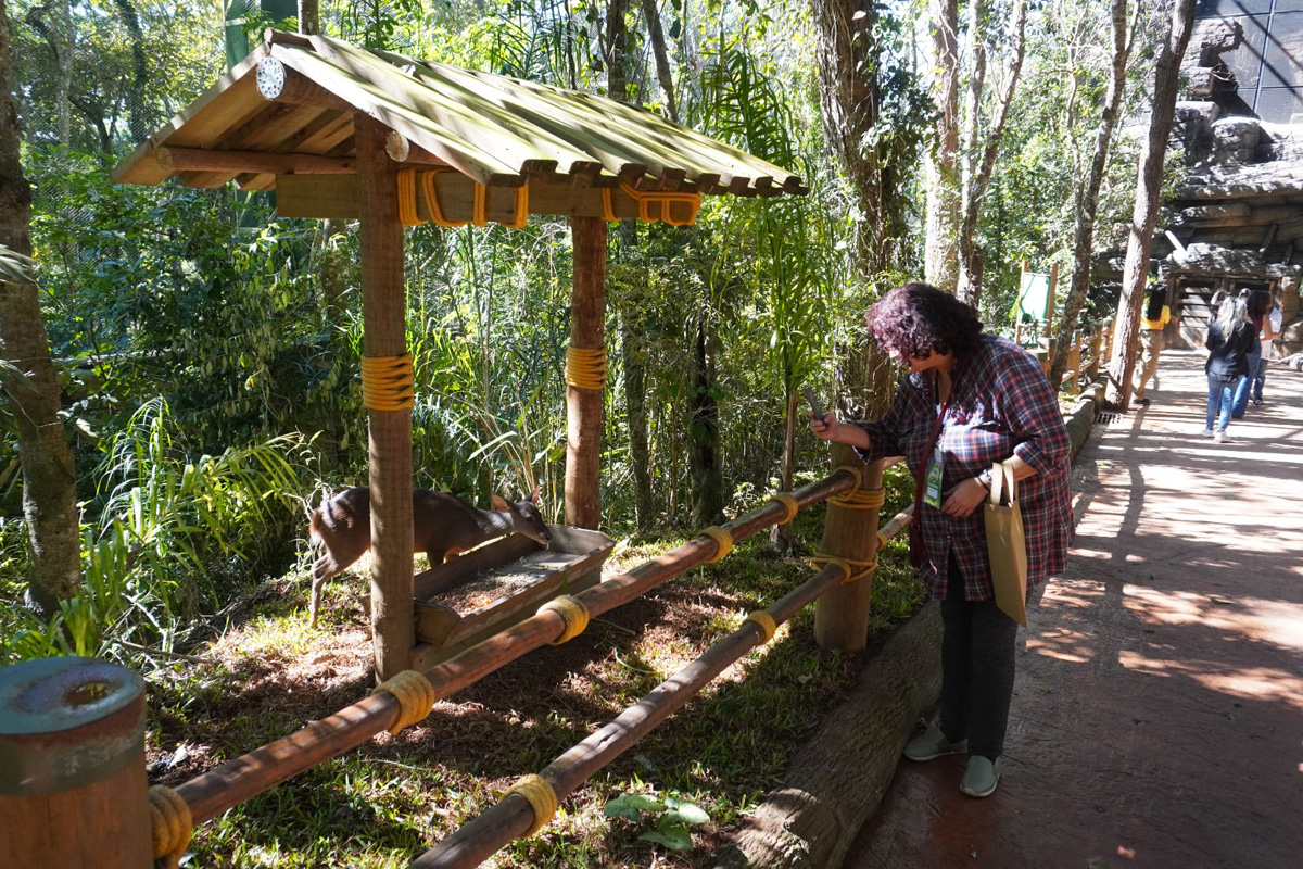 10 atrações turísticas próximas à Castello Branco e Raposo Tavares