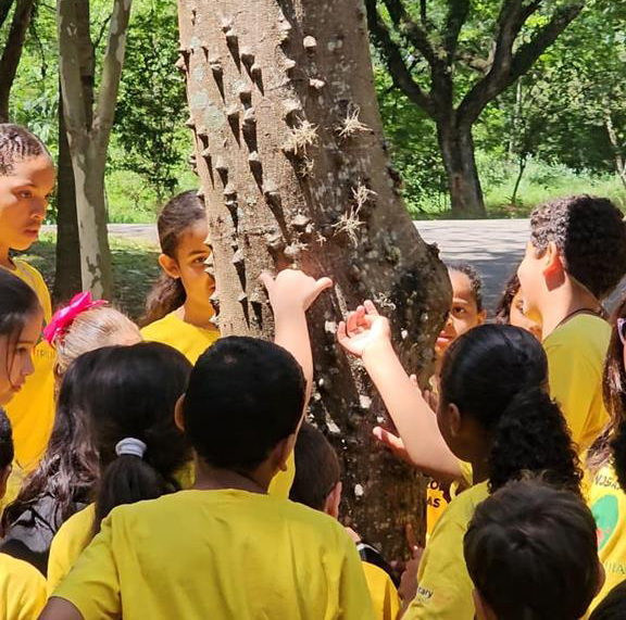 Sala Verde traz programação de férias em Alphaville