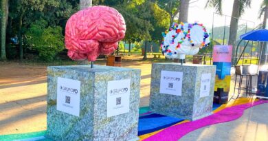 Autismo no Parque acontece na Esplanada do Villa-Lobos