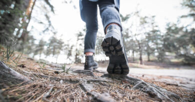 Vem aí o 12º Trekking de Santana de Parnaíba