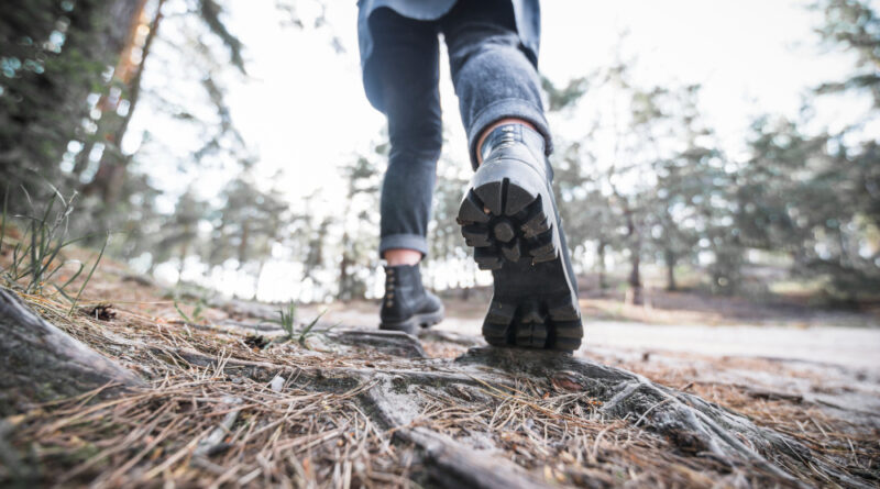 Vem aí o 12º Trekking de Santana de Parnaíba