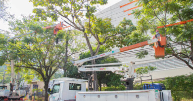 Barueri e Enel iniciam projeto “Árvore Mais Segura”